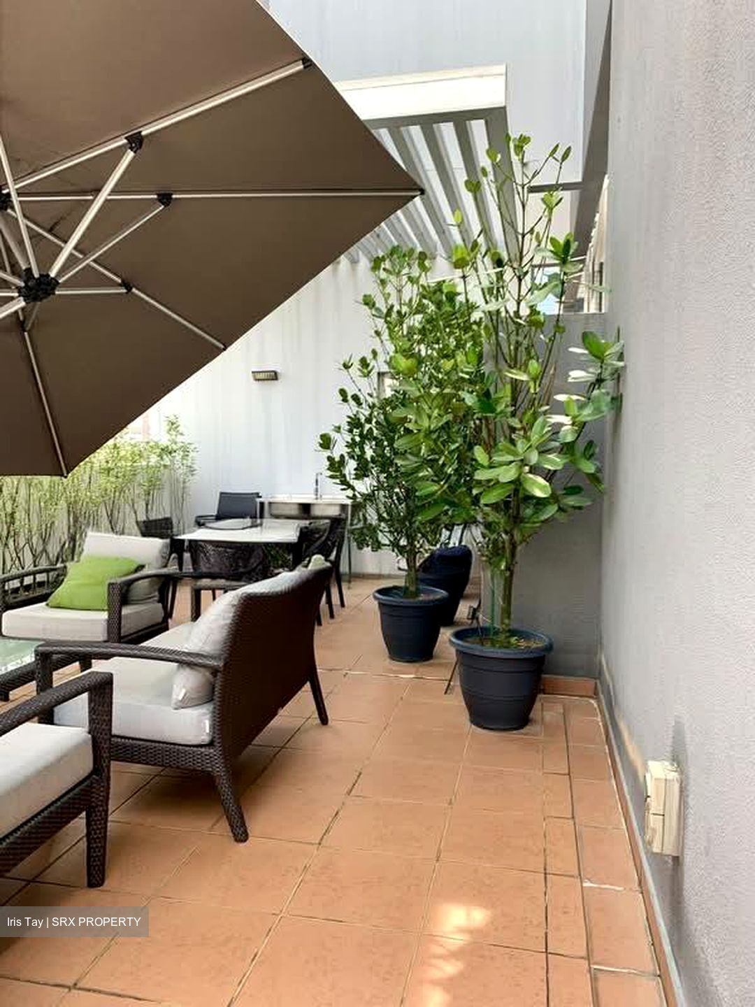 Cairnhill Residences (D9), Apartment #552191981